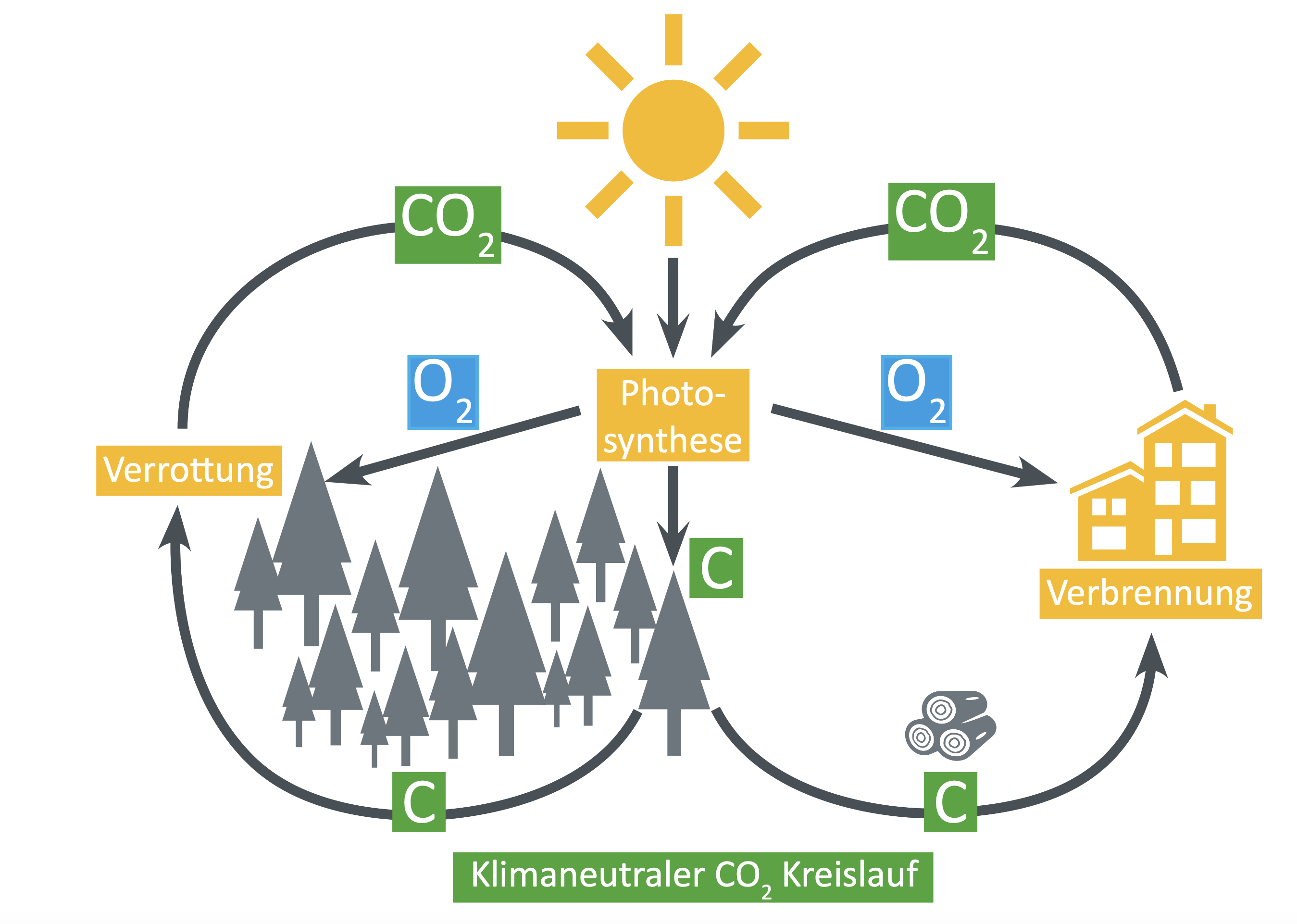 Klimaneutraler CO2 Kreislauf